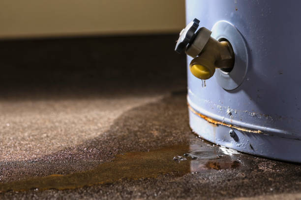 Best Sewage cleanup and water damage restoration  in New Bremen, OH