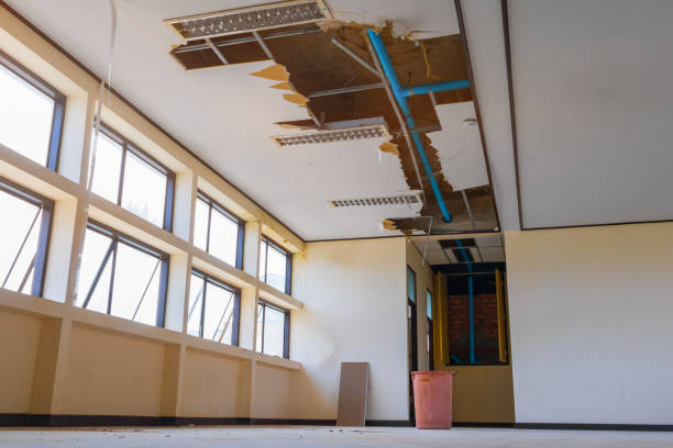Best Water damage cleanup near me  in New Bremen, OH