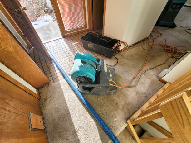 Water damage restoration mold remediation in New Bremen, OH