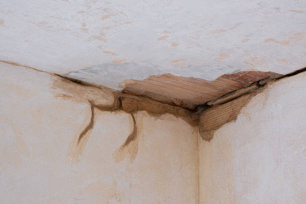 Best Water damage restoration near me  in New Bremen, OH