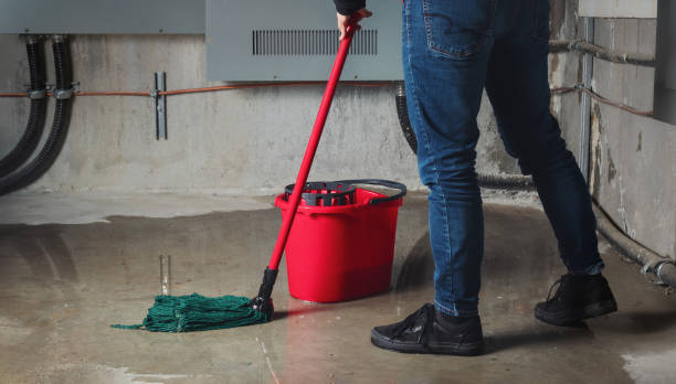 Best Water damage restoration cost  in New Bremen, OH