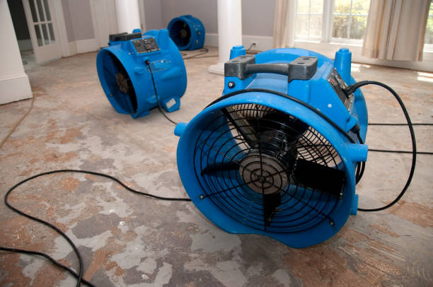 Best 24-hour water damage restoration  in New Bremen, OH