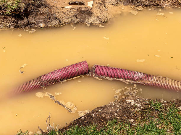 Best Flood damage cleanup  in New Bremen, OH