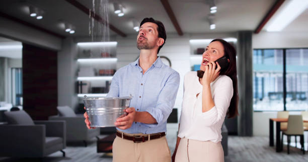 Best Flood restoration services  in New Bremen, OH